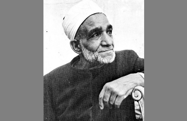  Alsheikh Mahmoud Shaltout